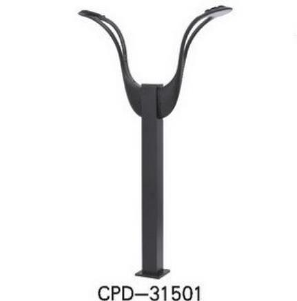 CPD-31501