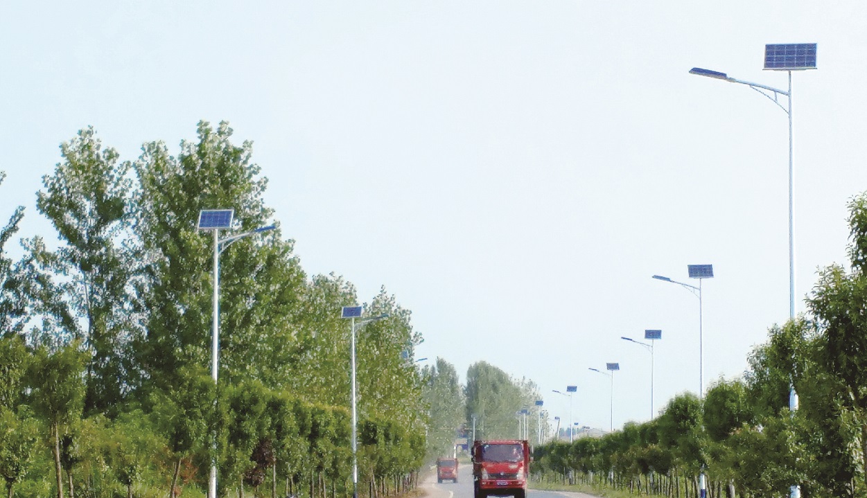 Xiangyang Zaoyang Solar Street Light Project