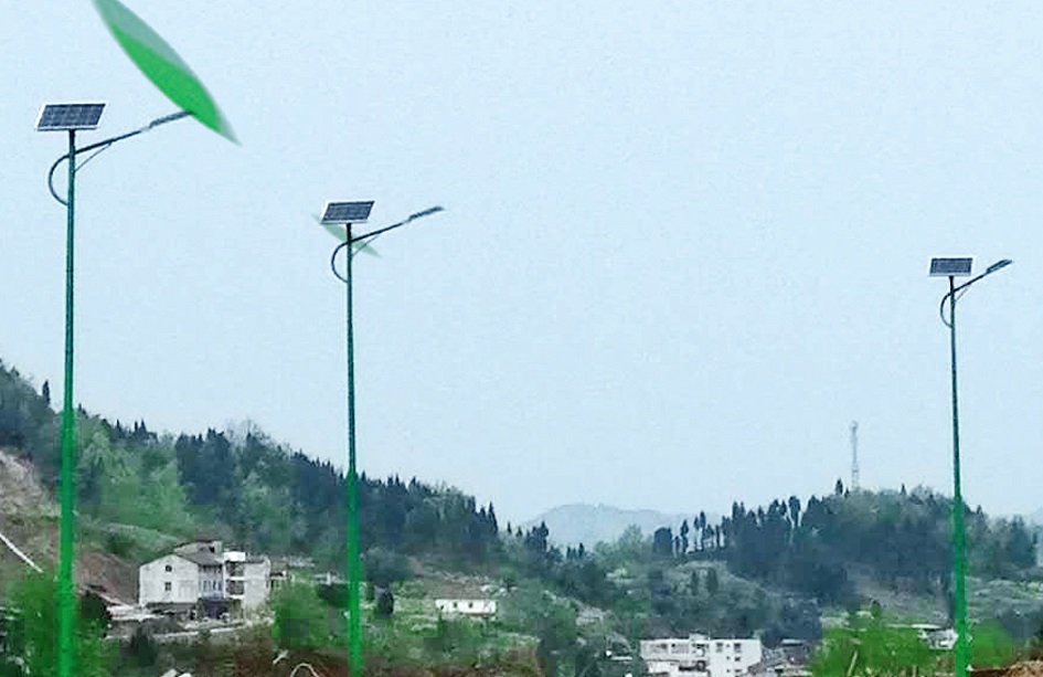 Chongqing Zhongxian Quanlun Ecological Company Solar Street Light Project