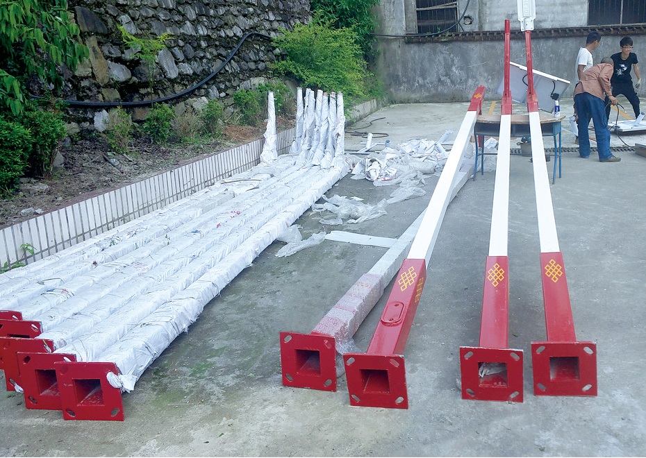 Chongqing Wuxi Shenjia Primary School Solar Street Light Project