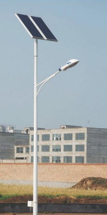 01903.jpg