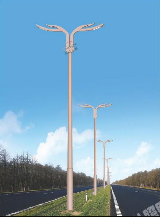 07405.jpg