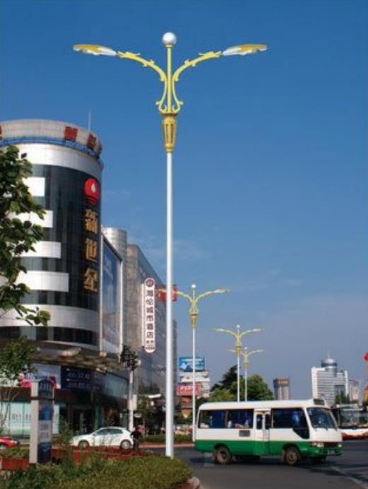 07901.jpg