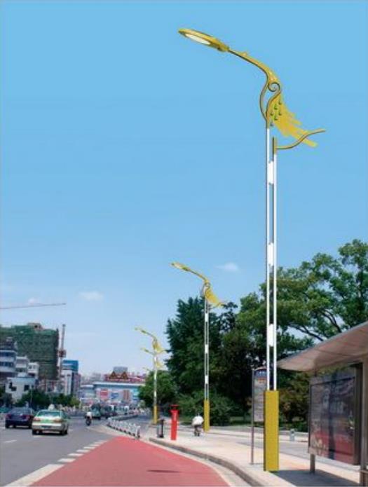 07908.jpg